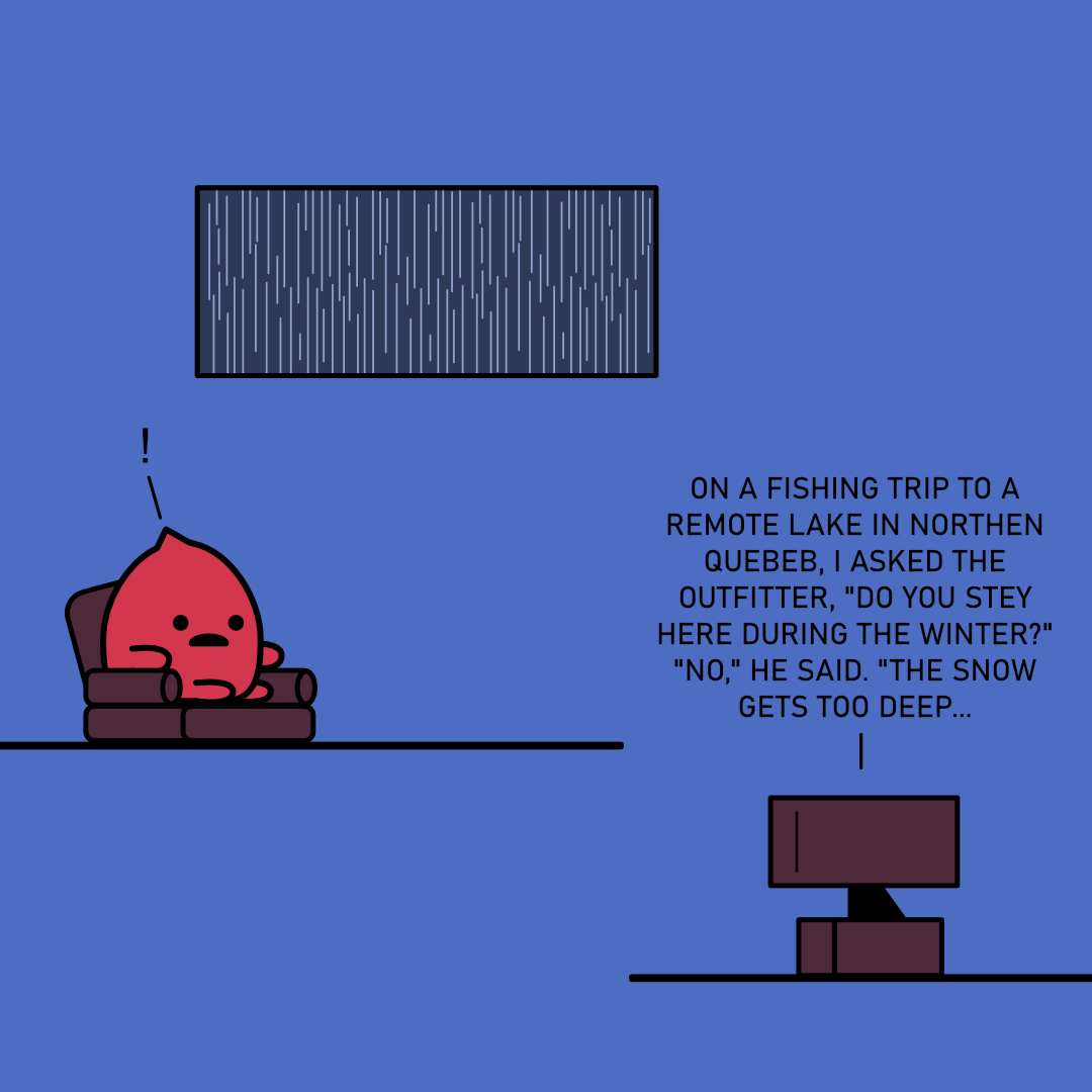 Rook telling a joke about winter at a remote lake
